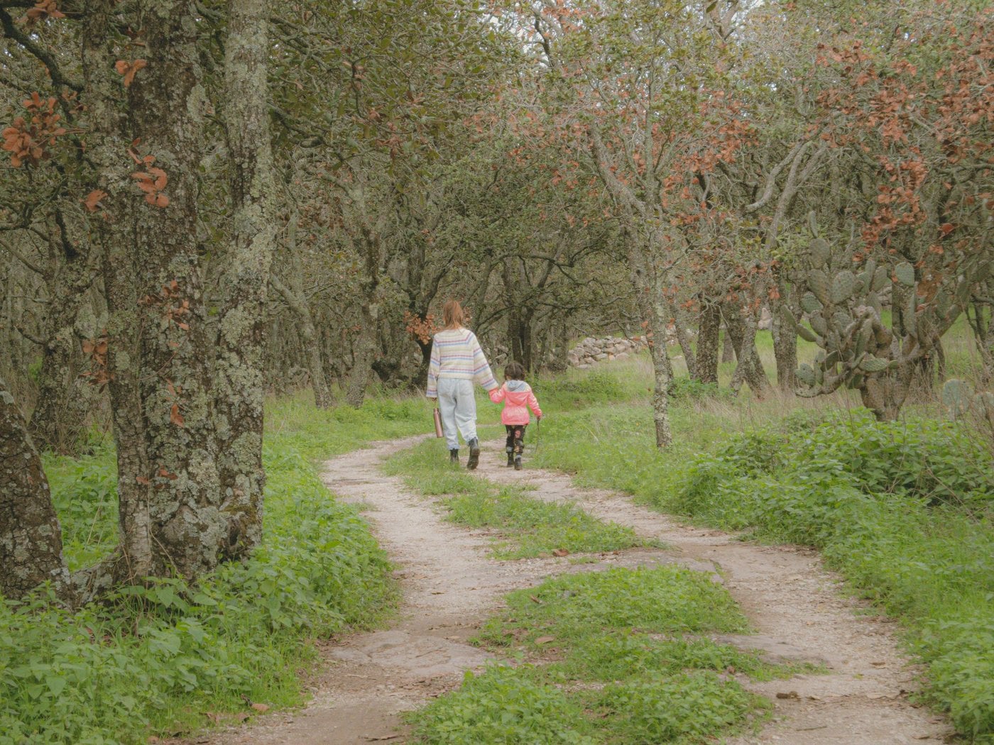Mother and child walking together on a peaceful forest path